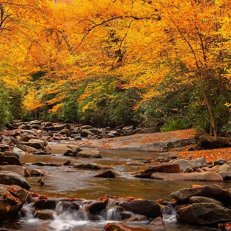 Peace, Serenity & Relaxation In The Smokies! Гатлінбург Екстер'єр фото