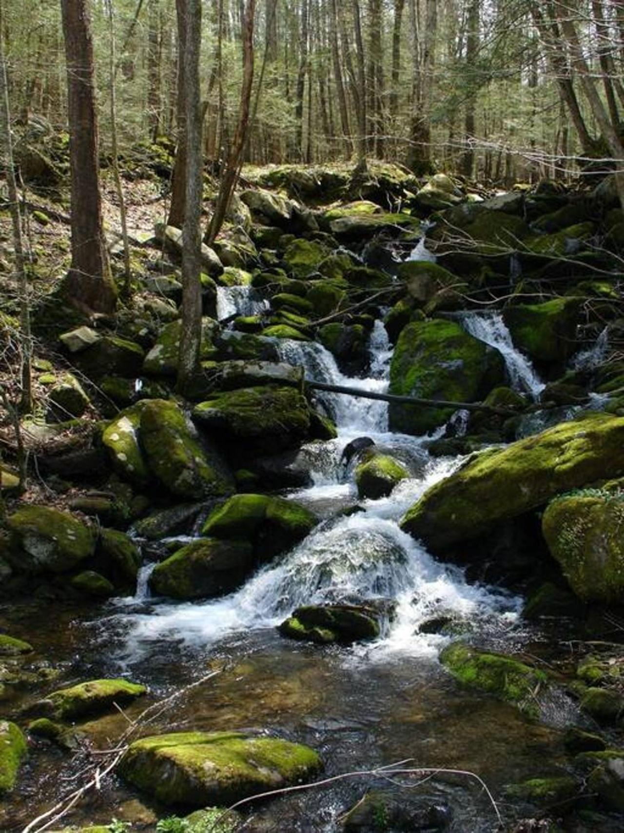 Peace, Serenity & Relaxation In The Smokies! Гатлінбург Екстер'єр фото