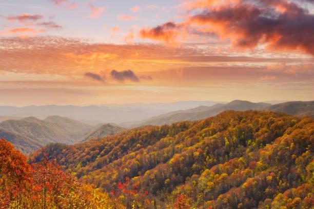 Peace, Serenity & Relaxation In The Smokies! Гатлінбург Екстер'єр фото
