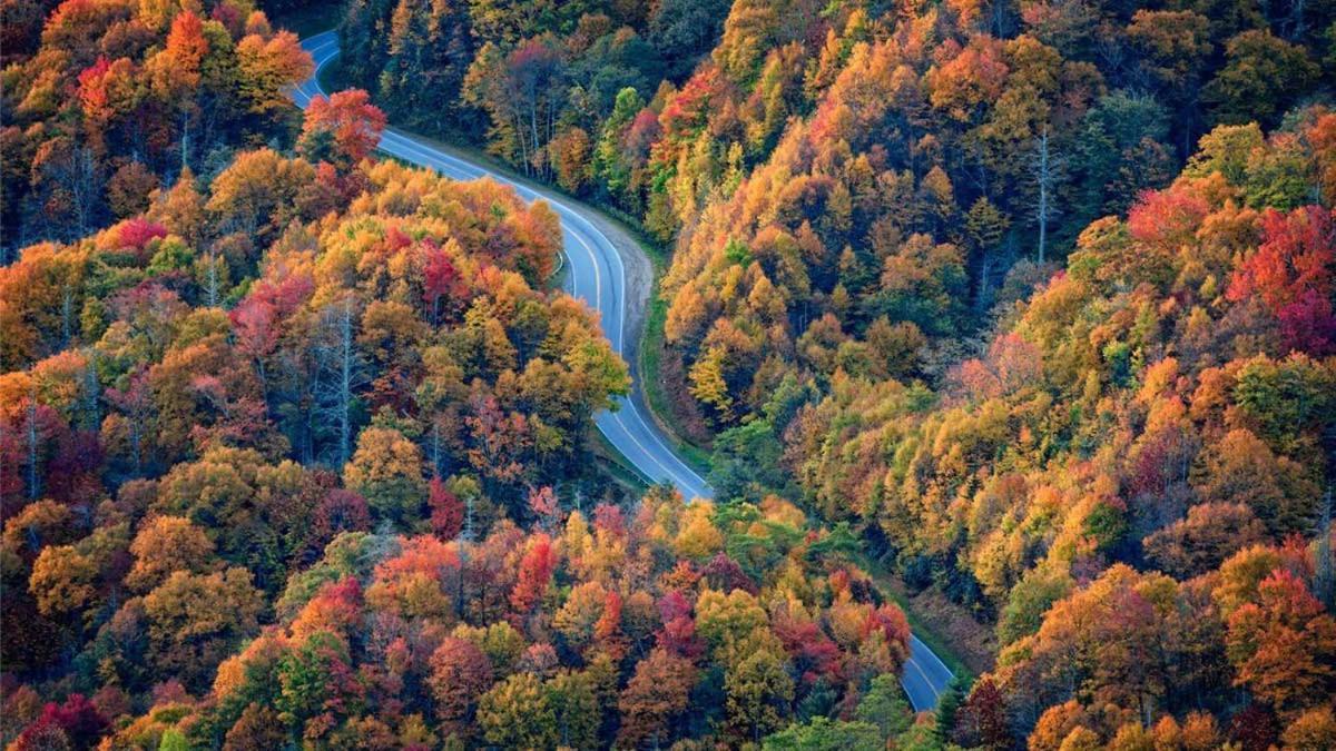 Peace, Serenity & Relaxation In The Smokies! Гатлінбург Екстер'єр фото