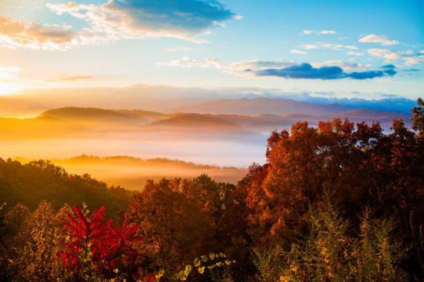 Peace, Serenity & Relaxation In The Smokies! Гатлінбург Екстер'єр фото