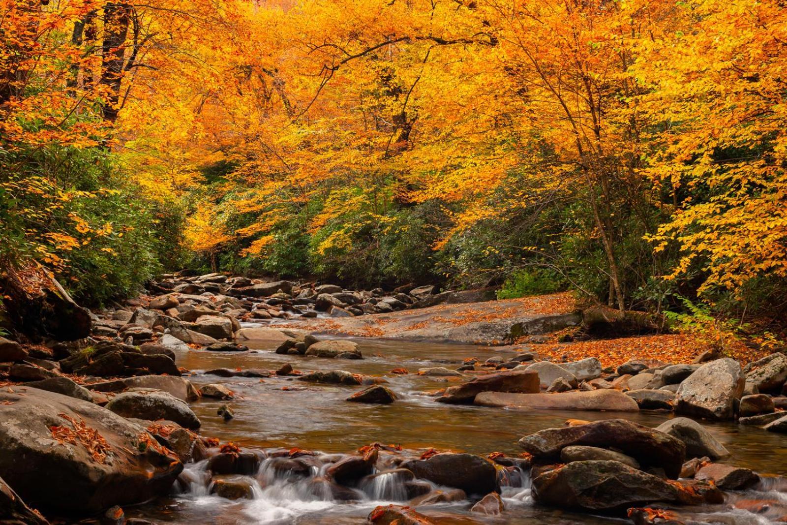 Peace, Serenity & Relaxation In The Smokies! Гатлінбург Екстер'єр фото